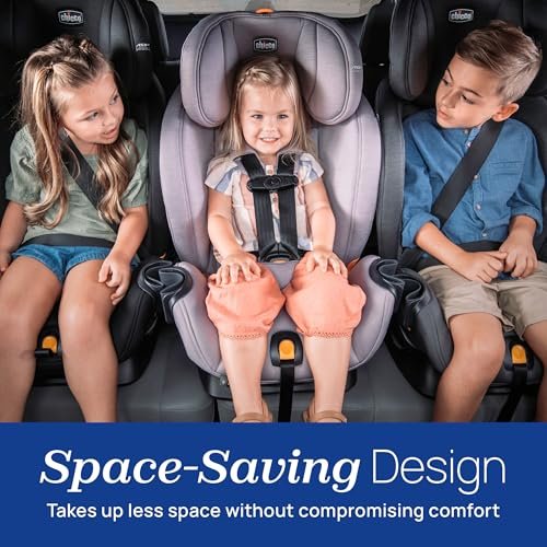 Chicco OneFit LX ClearTex all-in-one car seat in rear-facing configuration
